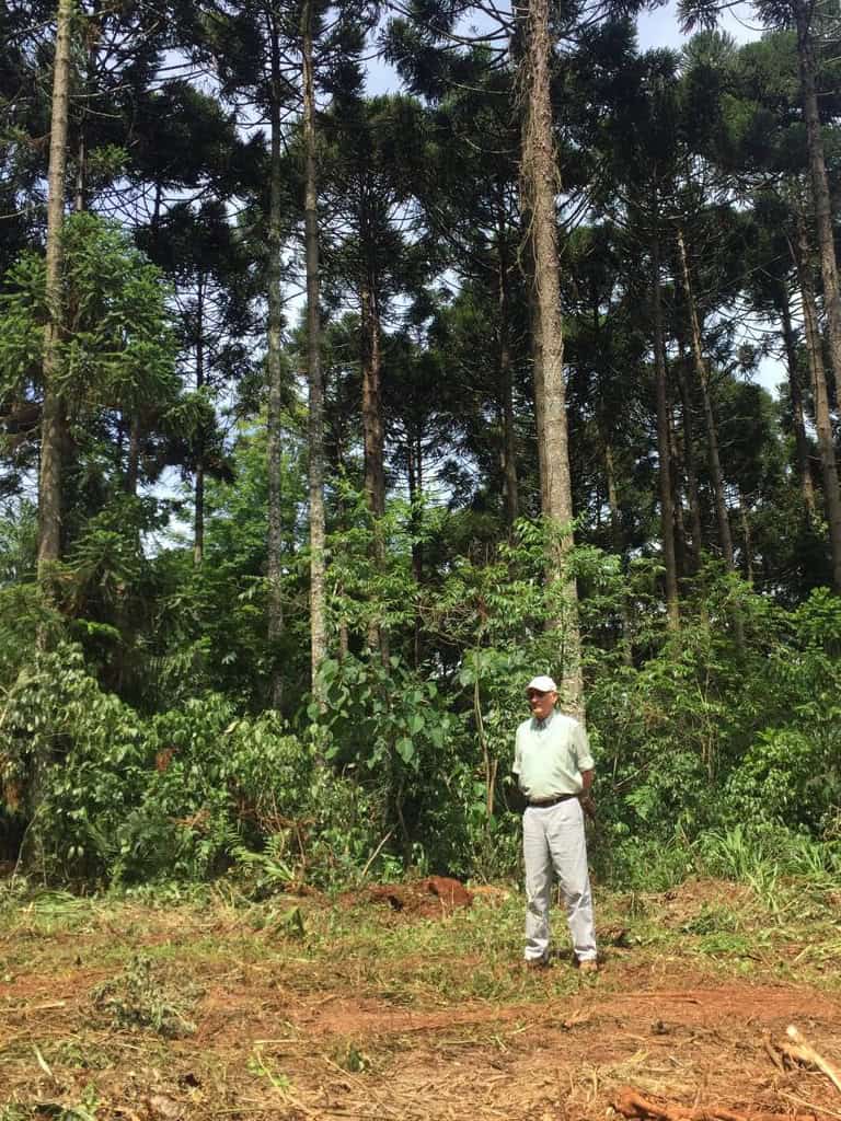 Plantaciones propias